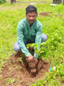 वृक्षारोपण 1