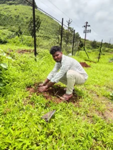 वृक्षारोपण 3